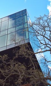 Preview wallpaper building, glass, facade, edges, tree
