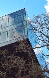 Preview wallpaper building, glass, facade, edges, tree
