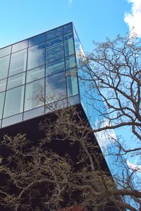 Preview wallpaper building, glass, facade, edges, tree