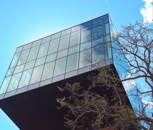 Preview wallpaper building, glass, facade, edges, tree