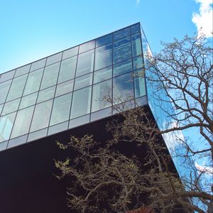 Preview wallpaper building, glass, facade, edges, tree