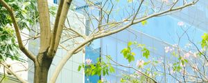 Preview wallpaper building, glass, tree, branches, leaves, light