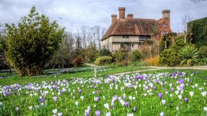 Preview wallpaper building, grass, nature, flowers