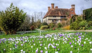 Preview wallpaper building, grass, nature, flowers