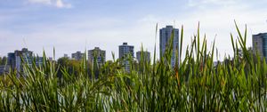 Preview wallpaper building, grasses, city, plant