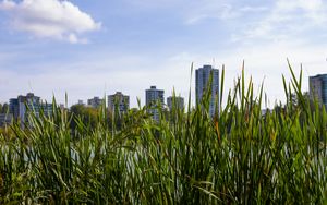 Preview wallpaper building, grasses, city, plant