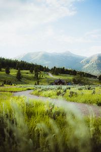 Preview wallpaper building, hill, path, grass, trees, forests