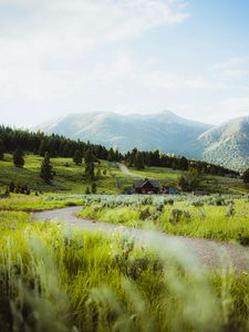 Preview wallpaper building, hill, path, grass, trees, forests