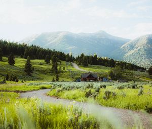 Preview wallpaper building, hill, path, grass, trees, forests