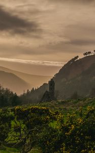 Preview wallpaper building, hills, fog, nature