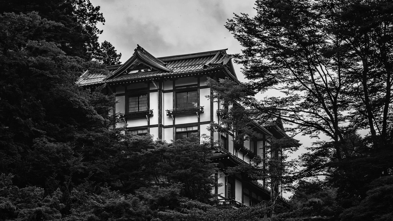 Wallpaper building, house, windows, trees, black and white