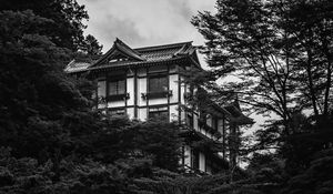 Preview wallpaper building, house, windows, trees, black and white