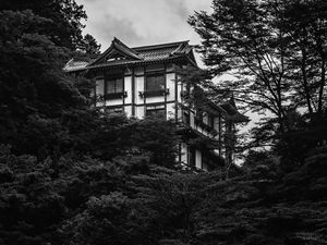 Preview wallpaper building, house, windows, trees, black and white