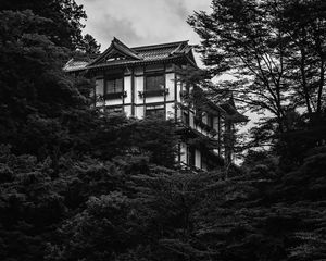 Preview wallpaper building, house, windows, trees, black and white
