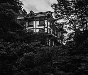 Preview wallpaper building, house, windows, trees, black and white