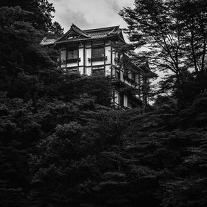 Preview wallpaper building, house, windows, trees, black and white