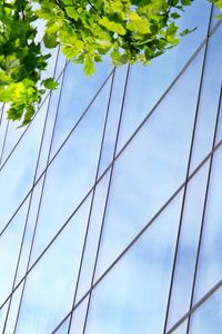 Preview wallpaper building, lines, mirror, leaves, branches