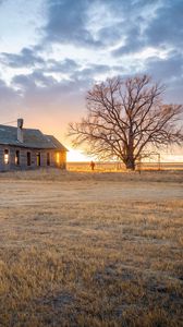 Preview wallpaper building, man, tree, field, sunset, nature