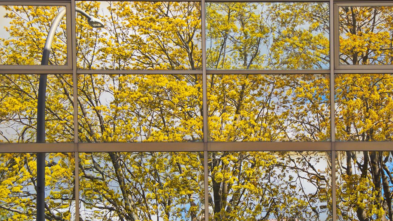 Wallpaper building, mirror, tree, reflection, autumn