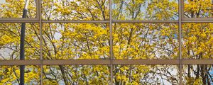 Preview wallpaper building, mirror, tree, reflection, autumn