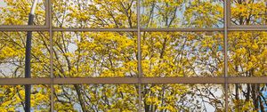 Preview wallpaper building, mirror, tree, reflection, autumn