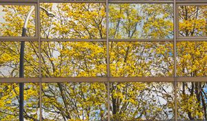 Preview wallpaper building, mirror, tree, reflection, autumn