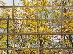 Preview wallpaper building, mirror, tree, reflection, autumn