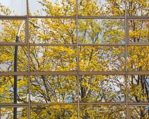 Preview wallpaper building, mirror, tree, reflection, autumn