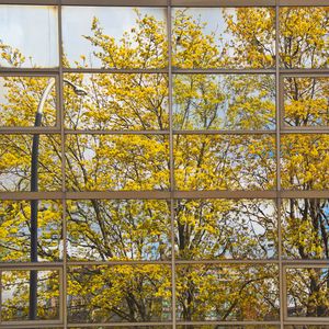 Preview wallpaper building, mirror, tree, reflection, autumn