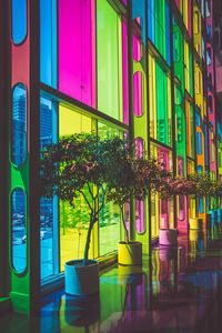 Preview wallpaper building, multicolored, windows