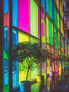 Preview wallpaper building, multicolored, windows