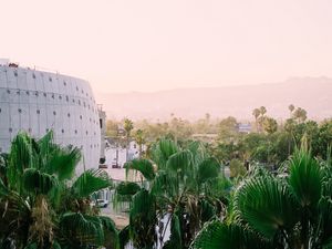 Preview wallpaper building, palm, trees, city