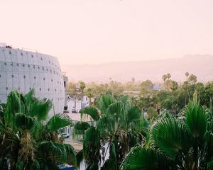 Preview wallpaper building, palm, trees, city