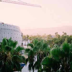 Preview wallpaper building, palm, trees, city