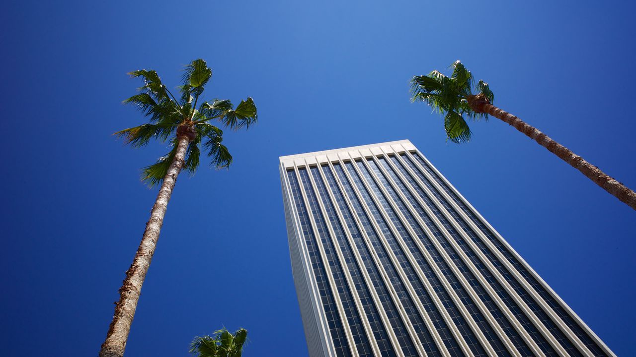 Wallpaper building, palm trees, architecture, sky, bottom view