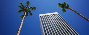 Preview wallpaper building, palm trees, architecture, sky, bottom view