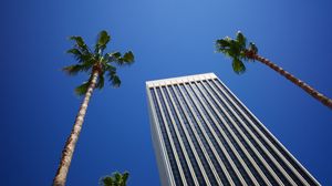Preview wallpaper building, palm trees, architecture, sky, bottom view