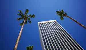 Preview wallpaper building, palm trees, architecture, sky, bottom view