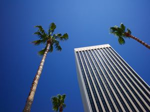 Preview wallpaper building, palm trees, architecture, sky, bottom view