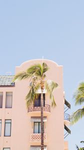 Preview wallpaper building, palm trees, tropics, light