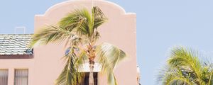 Preview wallpaper building, palm trees, tropics, light