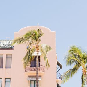 Preview wallpaper building, palm trees, tropics, light