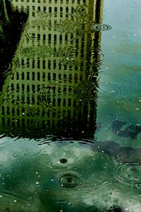 Preview wallpaper building, rain, reflection, puddle, drops