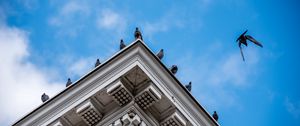 Preview wallpaper building, roof, bas-relief, pigeons, birds, sky