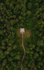 Preview wallpaper building, roof, forest, aerial view, path
