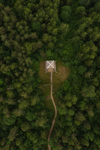 Preview wallpaper building, roof, forest, aerial view, path