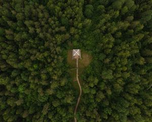 Preview wallpaper building, roof, forest, aerial view, path