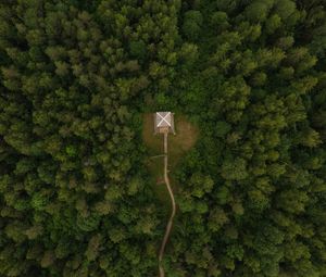 Preview wallpaper building, roof, forest, aerial view, path