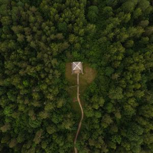 Preview wallpaper building, roof, forest, aerial view, path