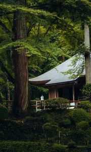 Preview wallpaper building, roof, pagoda, trees